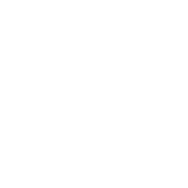 DroneVisionary